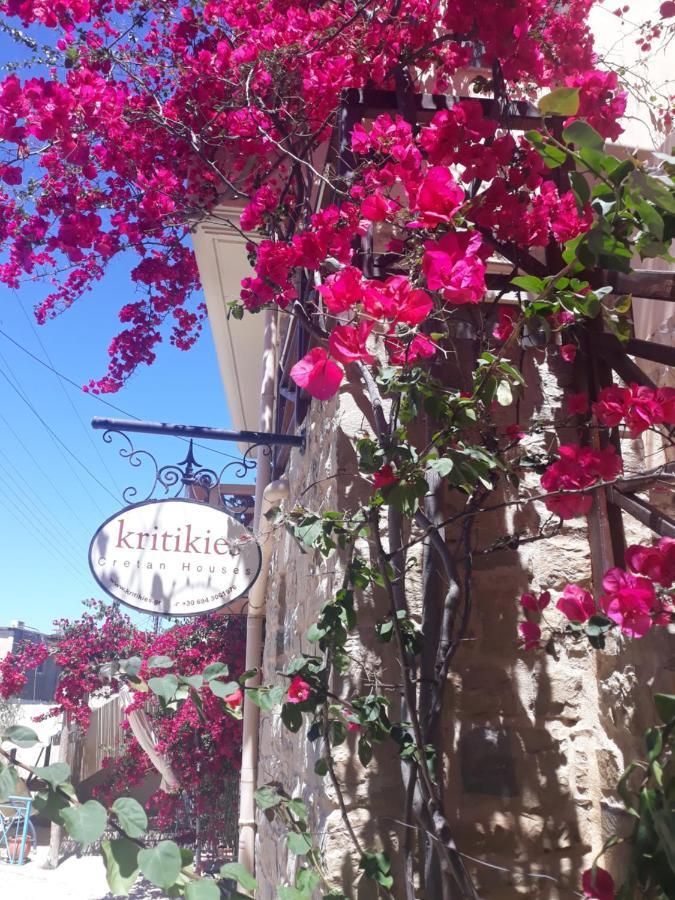 Kritikies Elaia Guest House Pitsidia Luaran gambar